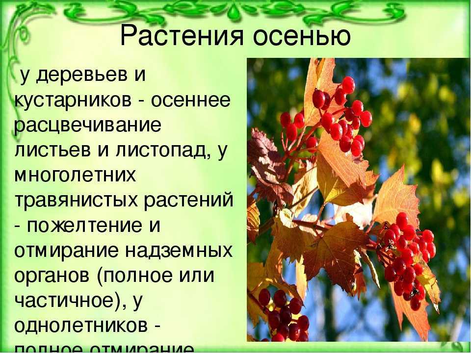 Решебник к учебному пособию: окружающий мир 2 класс плешаков - учебник