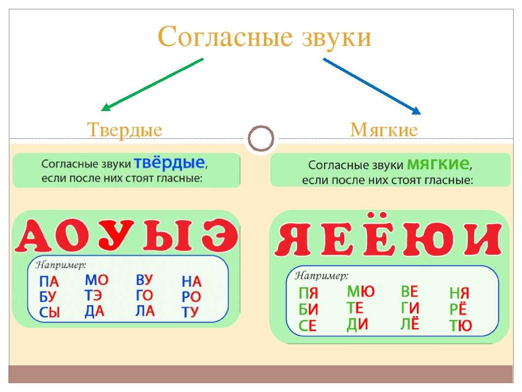 Звуки и буквысогласные звуки