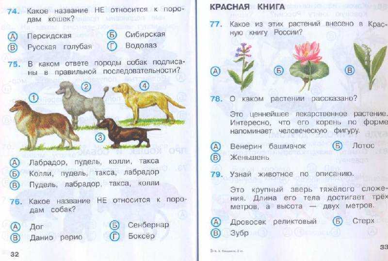 Гдз решебник по окружающему миру 2 класс    плешаков проверочные работы  просвещение