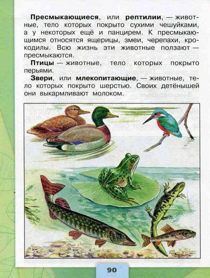 Разнообразие животных стр. 87 - 93. окружающий мир