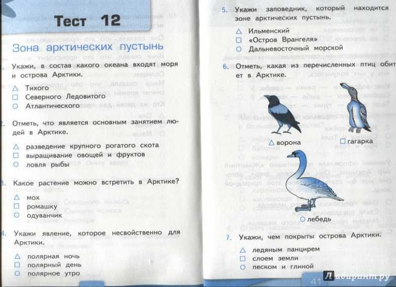 Окружающий мир 3 класс. рабочая тетрадь плешаков — 1 часть, страница 5, 6, 7, 8