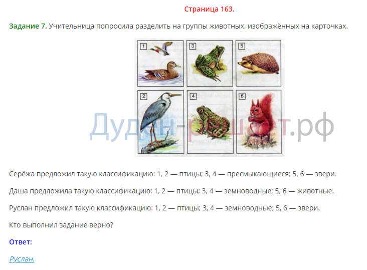 ГДЗ учебник по окружающему миру 3 класс часть 1 Плешаков Задания для домашней работы стр 97 Изготовь модель цепи питания о которой не говорилось в учебнике В классе сравни её с моделями которые сделали твои товарищи