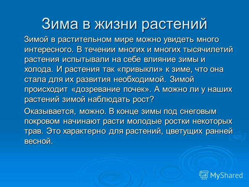 Ответы на олимпиада по окружающему миру и экологии