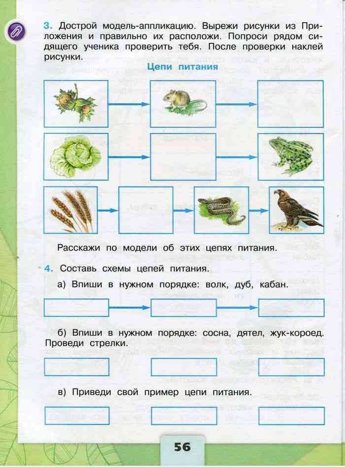 3 класс. окружающий мир. плешаков, новицкая. рабочая тетрадь. часть 1. страницы 74, 75, 76, 77