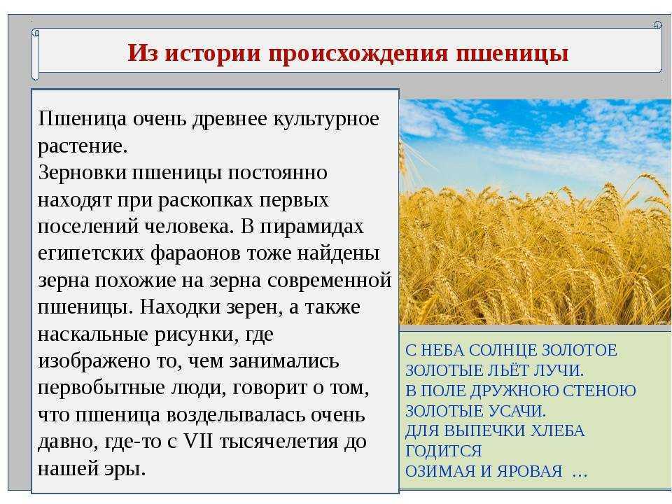 Гдз по окружающему миру 2 класс 1 часть плешаков а.а. новицкая м.