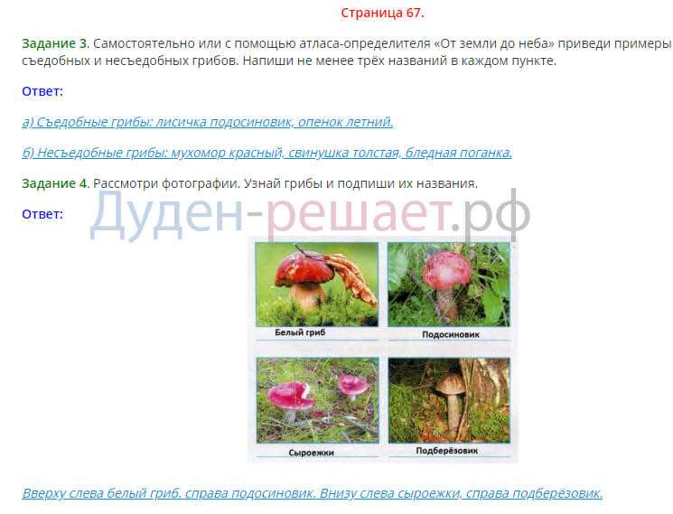 Гдз по окружающему миру для 3 класса к учебнику плешакова часть 1, 2