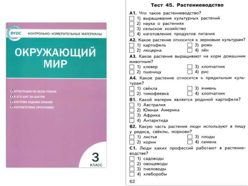 Гдз решебник проверочные работы окружающий мир 3 класс плешаков