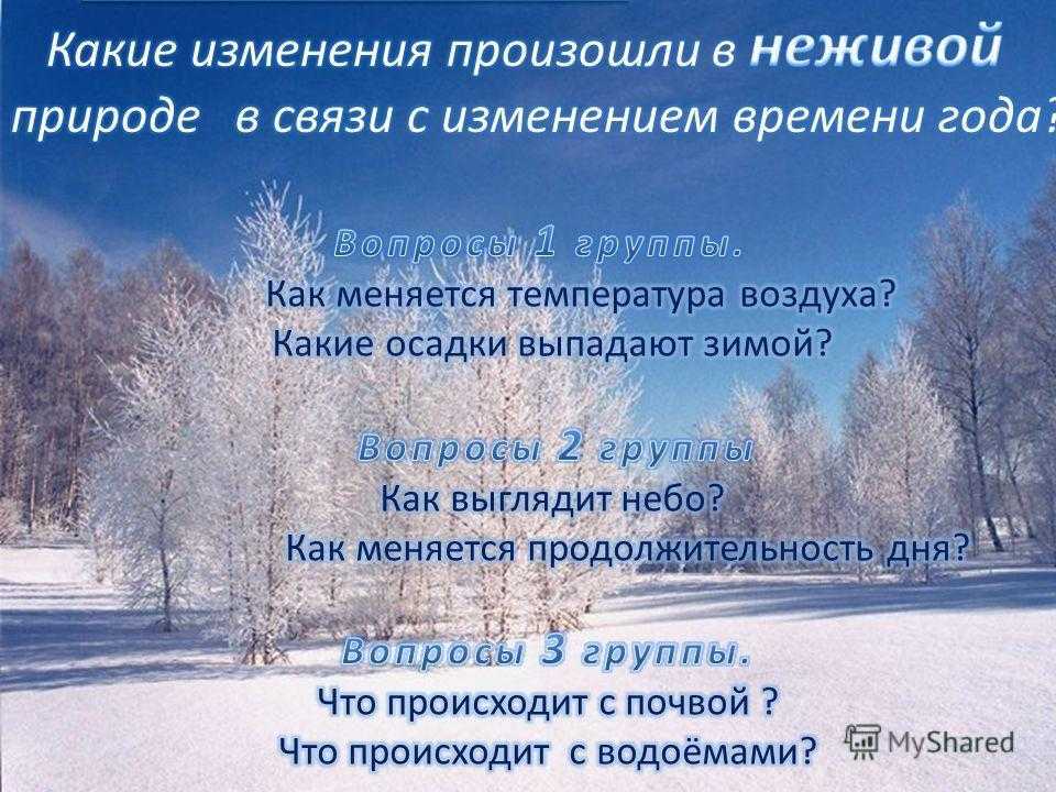 Явления живой и неживой природы. 2 класс. примеры