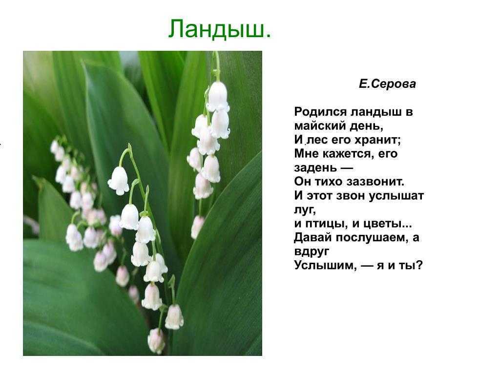 Гдз и решебник русский язык 2 класс климанова, бабушкина - учебник