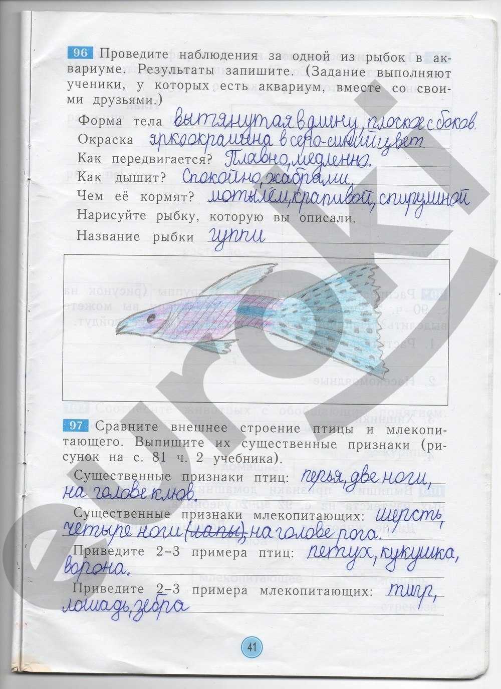 Гдз решебник по окружающему миру 2 класс    плешаков учебник  просвещение