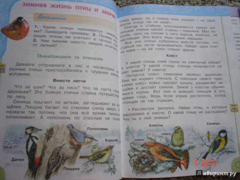Гдз: окружающий мир 2 класс плешаков - учебник