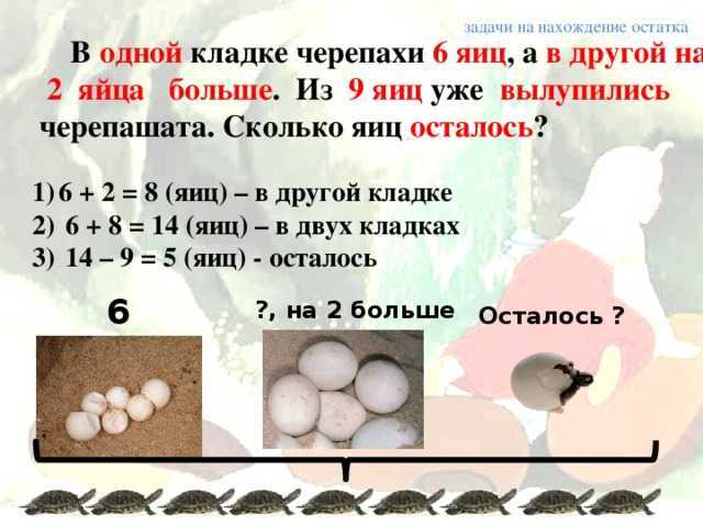 Замени данные словосочетания по образцу. яйца черепахи-черепашьи яйца. молоко козы-?, ружье - новая школа