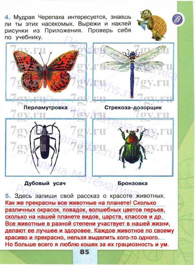 Ответы по окружающему миру, 2 класс, рабочая тетрадь, 2 часть, плешаков (школа россии) 2019 - игры плюс гдз