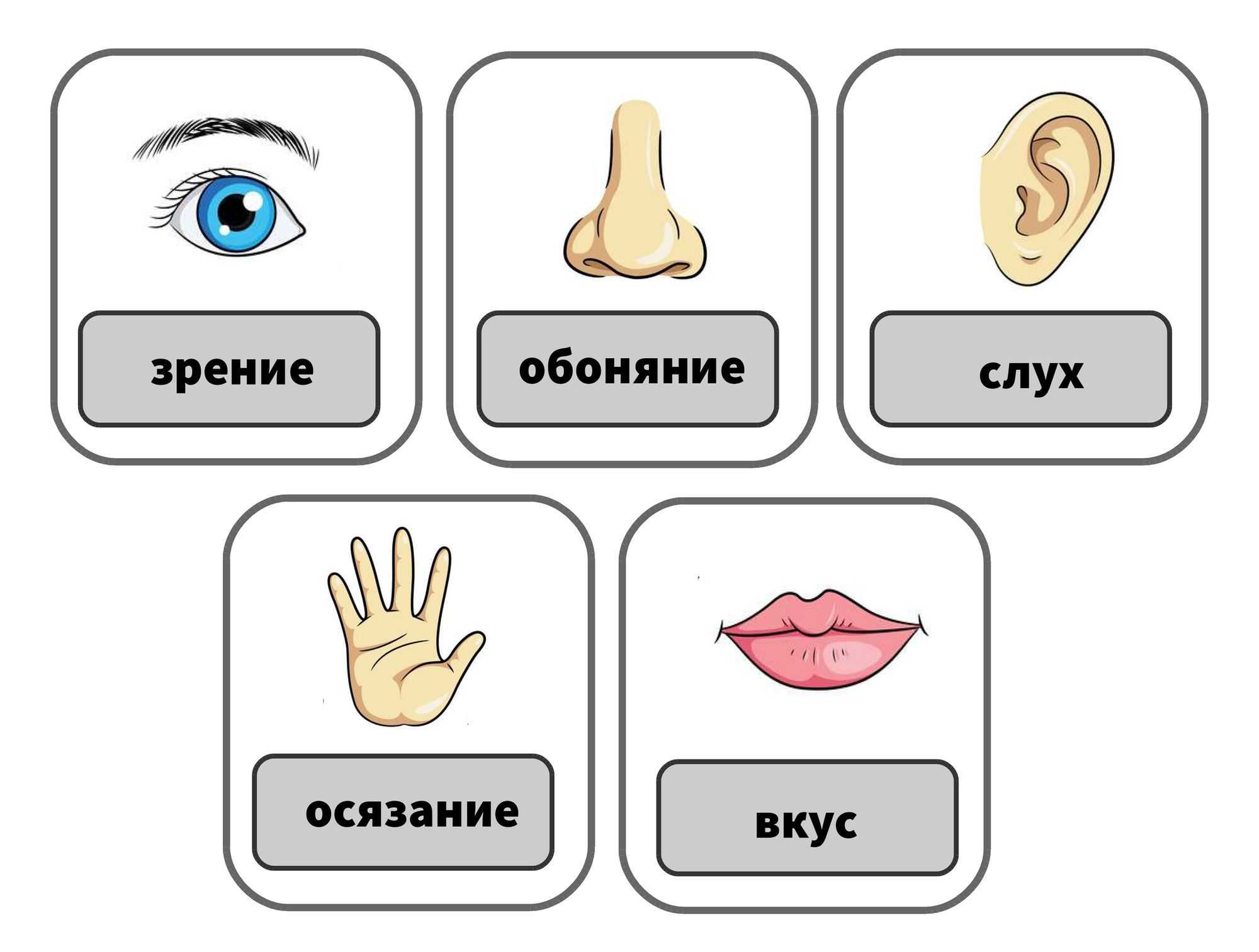 Органы чувств стр. 126 - 129. окружающий мир 3 класс 1 часть