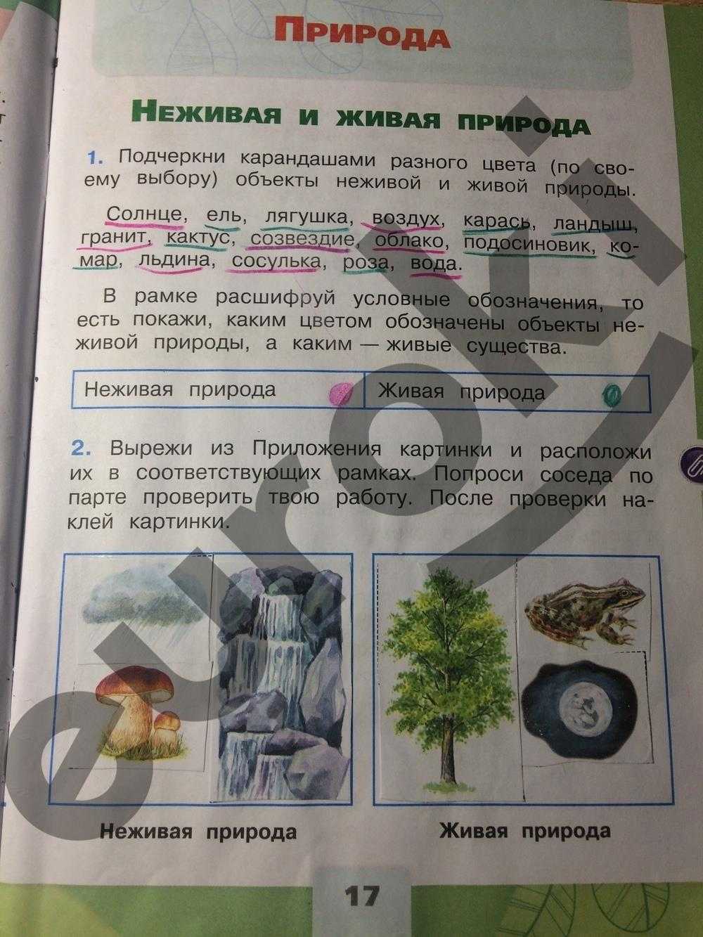 Гдз по окружающему миру 2 класс 1 часть плешаков а.а. новицкая м.