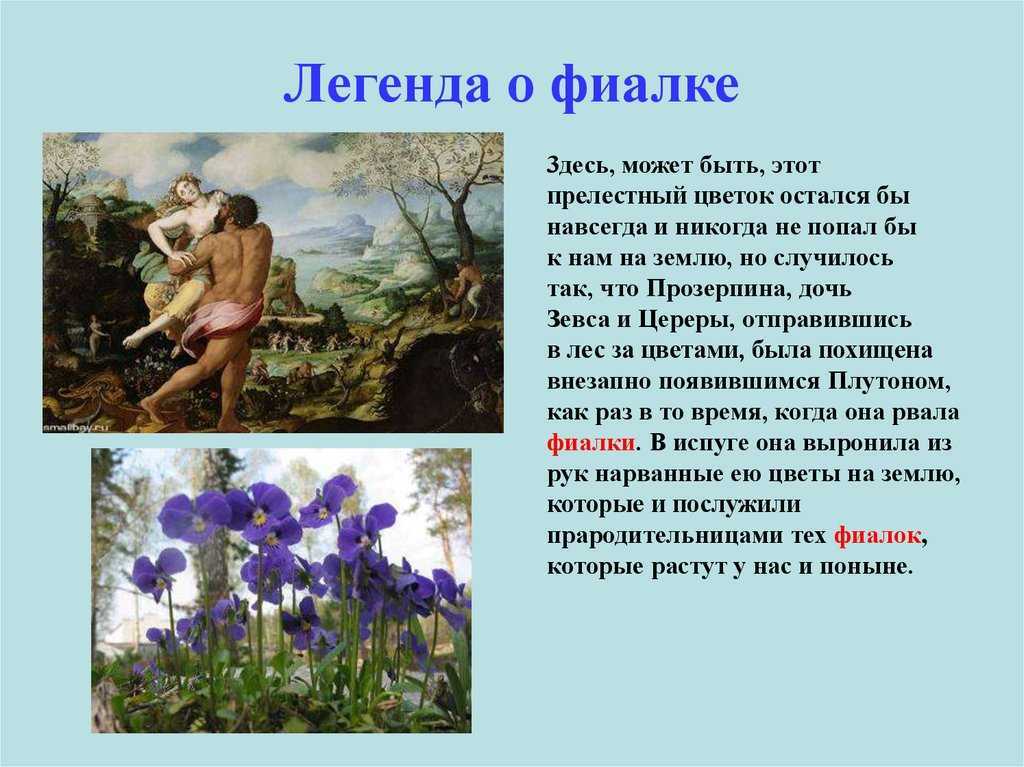 Гдз окружающий мир 2 класс плешаков - учебник