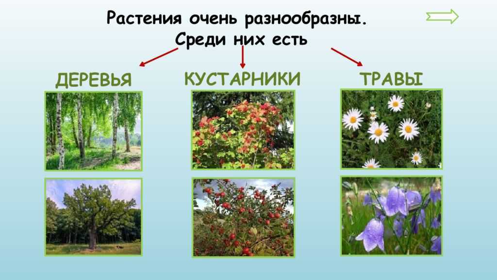 Гдз по окружающему миру 2 класс плешаков, рабочая тетрадь 1, 2 часть просвещение 2023