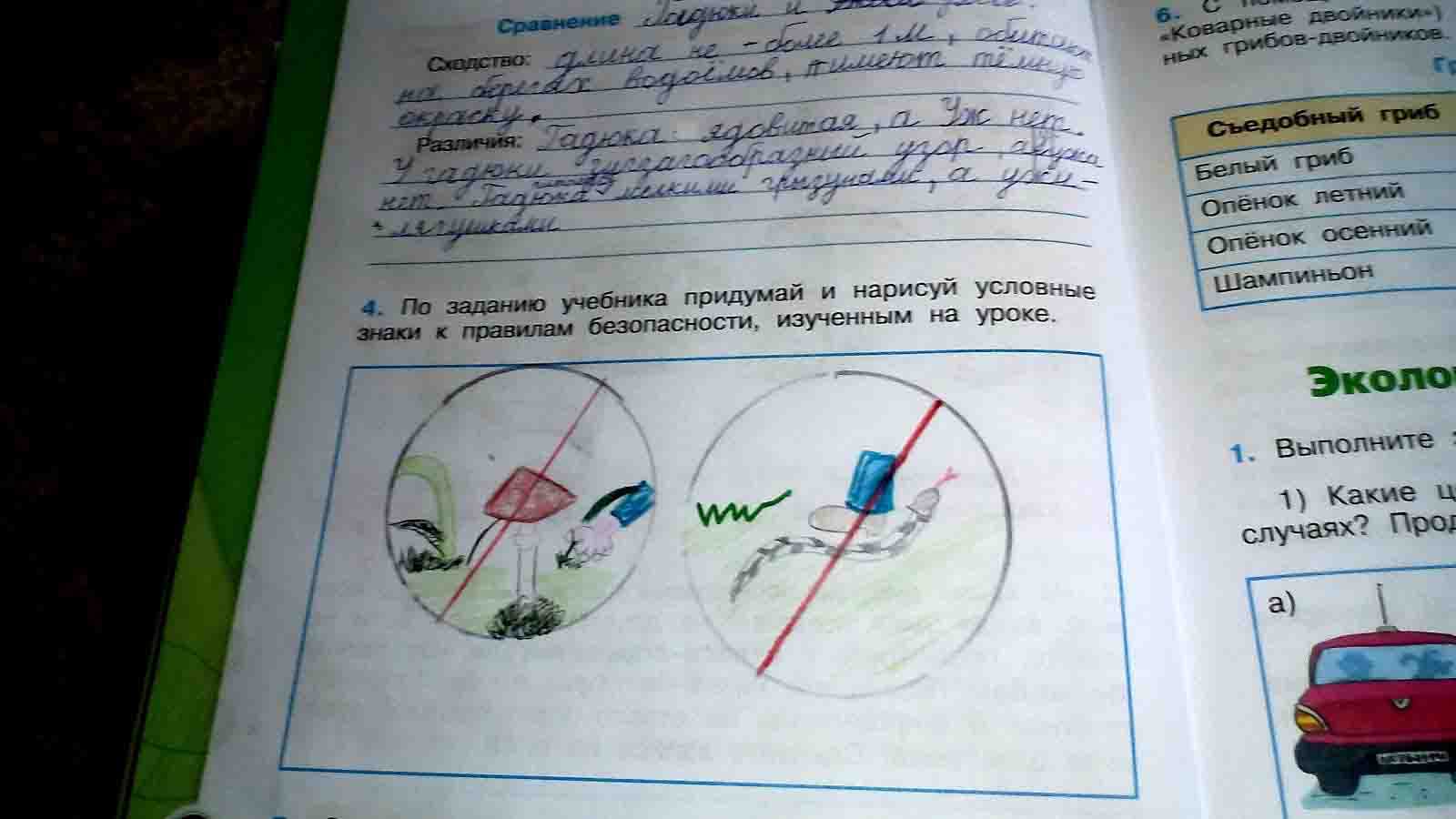 Природа и наша безопасность стр. 25 -30 окружающий мир 3 класс 2 часть