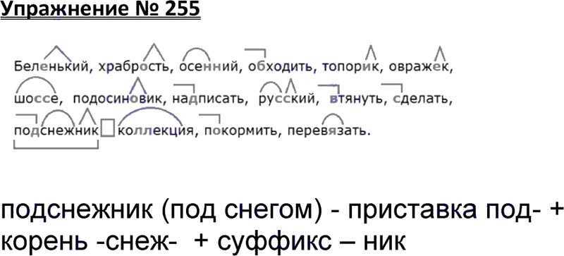 ГДЗ Русский язык 3 класс часть 1 Рамзаева Задания стр 106 130 Номер 258 Составьте из данных слов пять предложений Напишите текст Сойкины дубки сойка от далеко дуба уносит жёлуди она под мох прячет плоды зимой снег разгребает и ищет жёлуди птица но ост