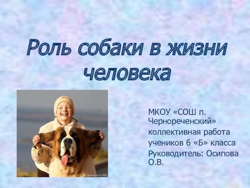 Страницы 44, 45, 46 - ответы окружающий мир 2 класс плешаков рабочая тетрадь 1 часть