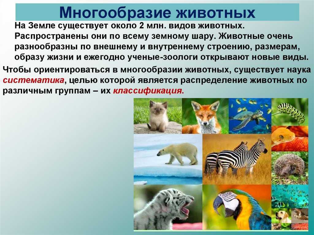 Гдз по окружающему миру 3 класс   плешаков  школа россии