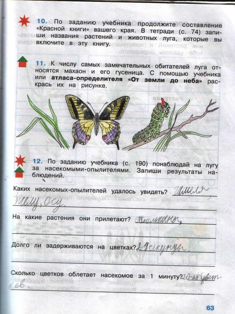 Решебник к учебному пособию: окружающий мир 2 класс плешаков - учебник