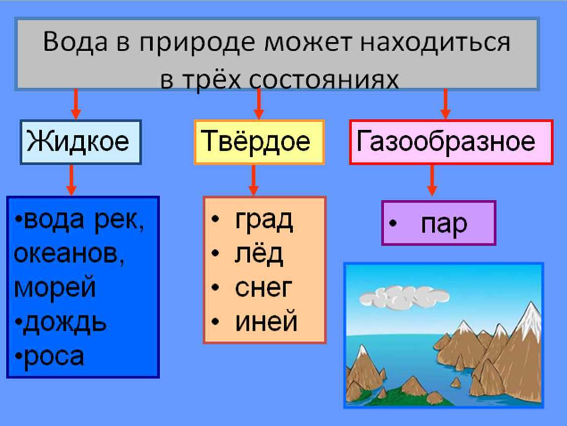 Плешаков. 3 класс. учебник №1, с. 51 — 54 |  волжский класс