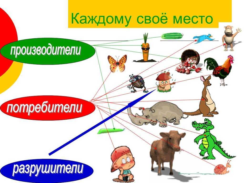 Гдз окружающий мир 3 класс учебник плешаков, новицкая