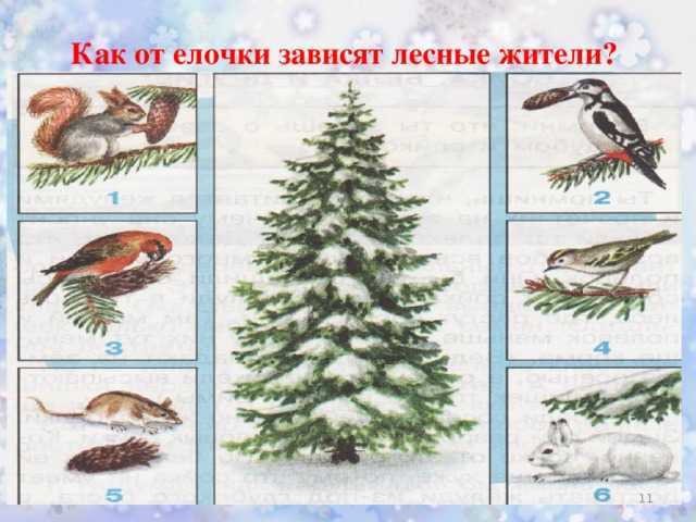 Гдз по окружающему миру 2 класс рабочая тетрадь плешаков, новицкая
