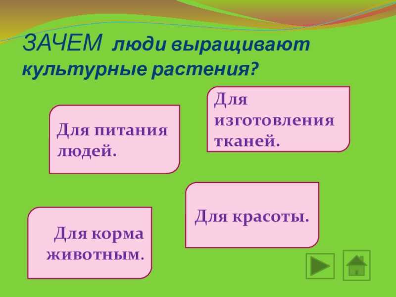 Гдз по окружающему миру 2 класс 1 часть плешаков а.а. новицкая м.