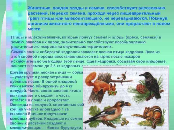 Гдз окружающий мир 3 класс плешаков, крючкова - учебник