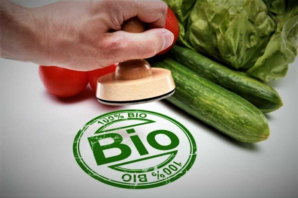 Гдз к рабочей тетради по окружающему миру 3 класс плешаков – 1, 2 часть