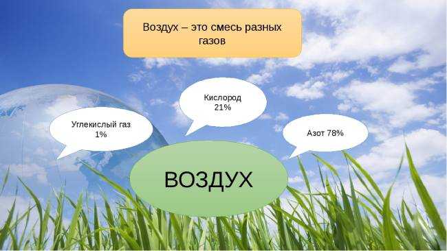 Гдз окружающий мир 2 класс плешаков - учебник