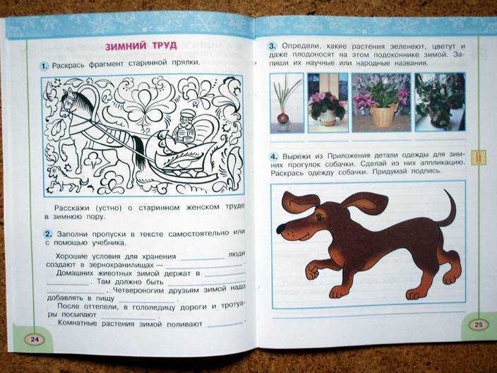 Гдз решебник по окружающему миру 2 класс  плешаков, новицкая рабочая тетрадь просвещение