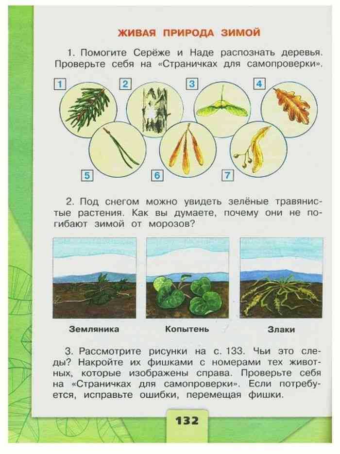 Явления живой и неживой природы. 2 класс. примеры