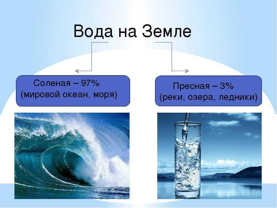 3 класс. окружающий мир. плешаков. рабочая тетрадь. часть 1. страницы 29, 30, 31, 32