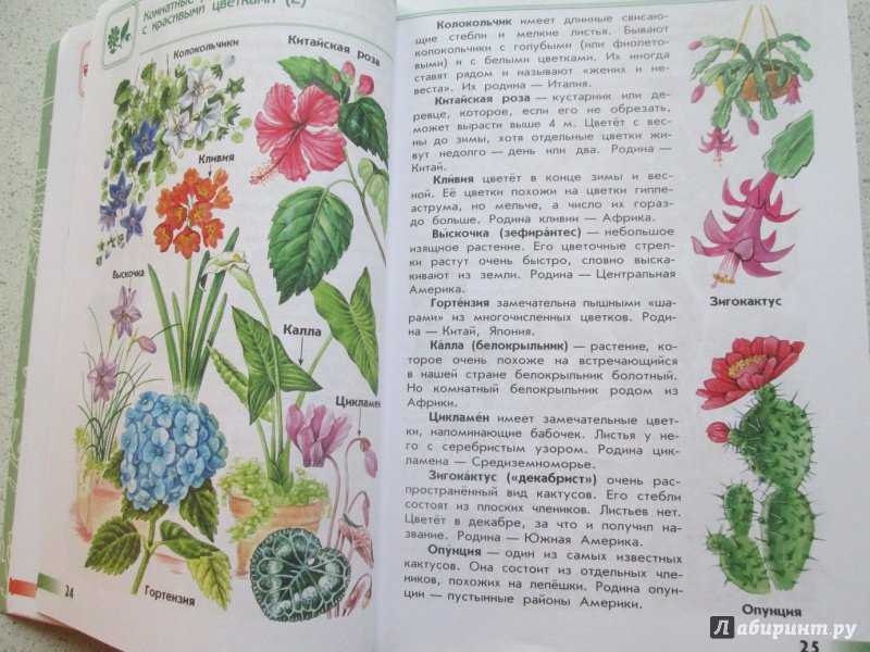 Гдз по окружающему миру для 3 класса плешаков, новицкая (1 и 2 часть)