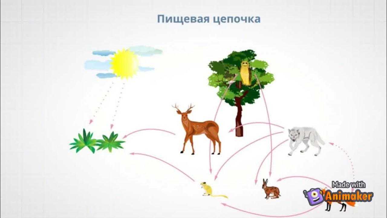 Гдз по окружающему миру 3 класс: плешаков рабочая тетрадь