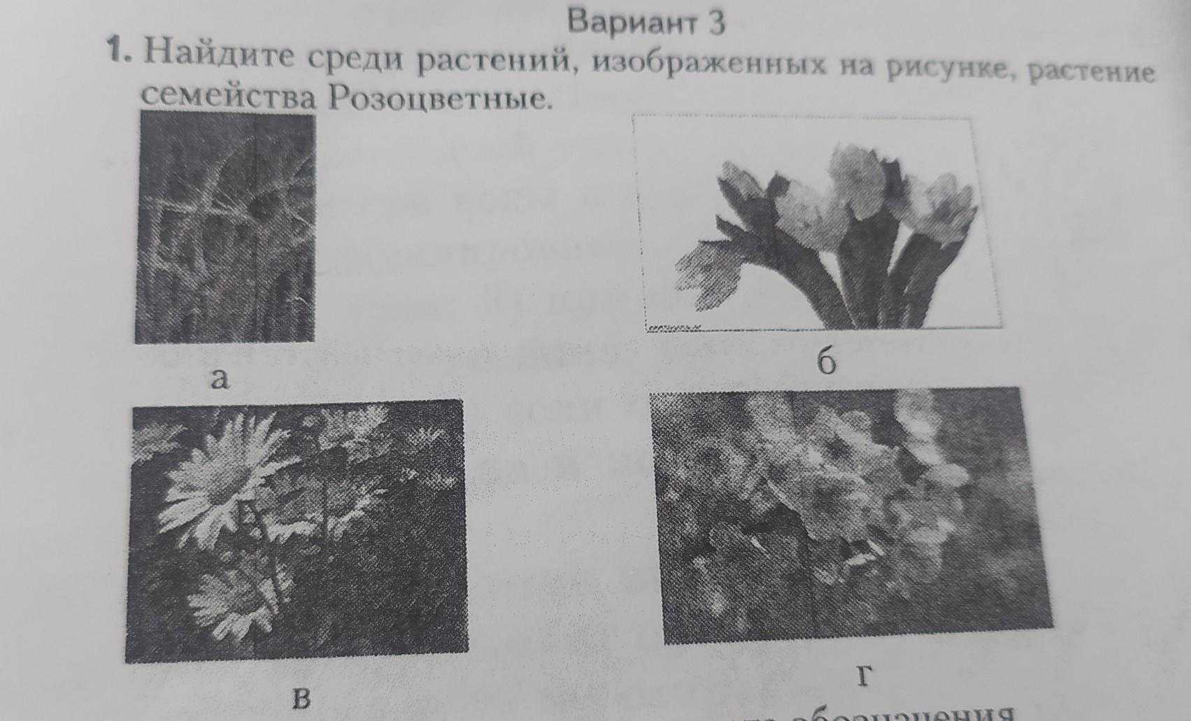 Гдз по окружающему миру 2 класс учебник плешаков часть 1, 2