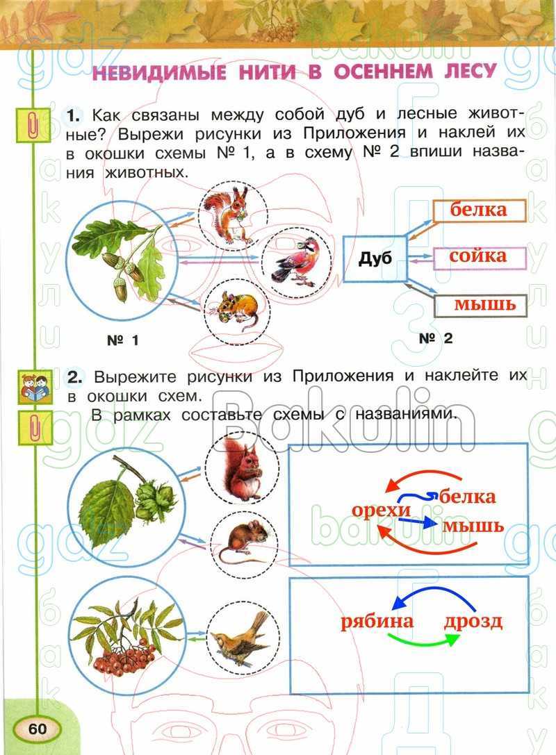 Окр мир 2 кл гдз раб тетрадь