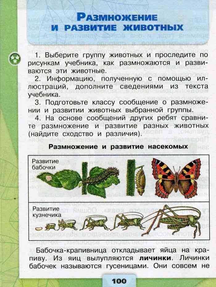 Окружающий мир 3 класс 1 часть. охрана растений стр. 82 – 86