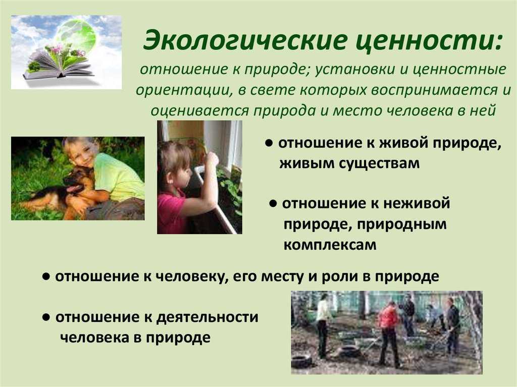 Гдз окружающий мир 2 класс 1 часть учебник плешаков ответы