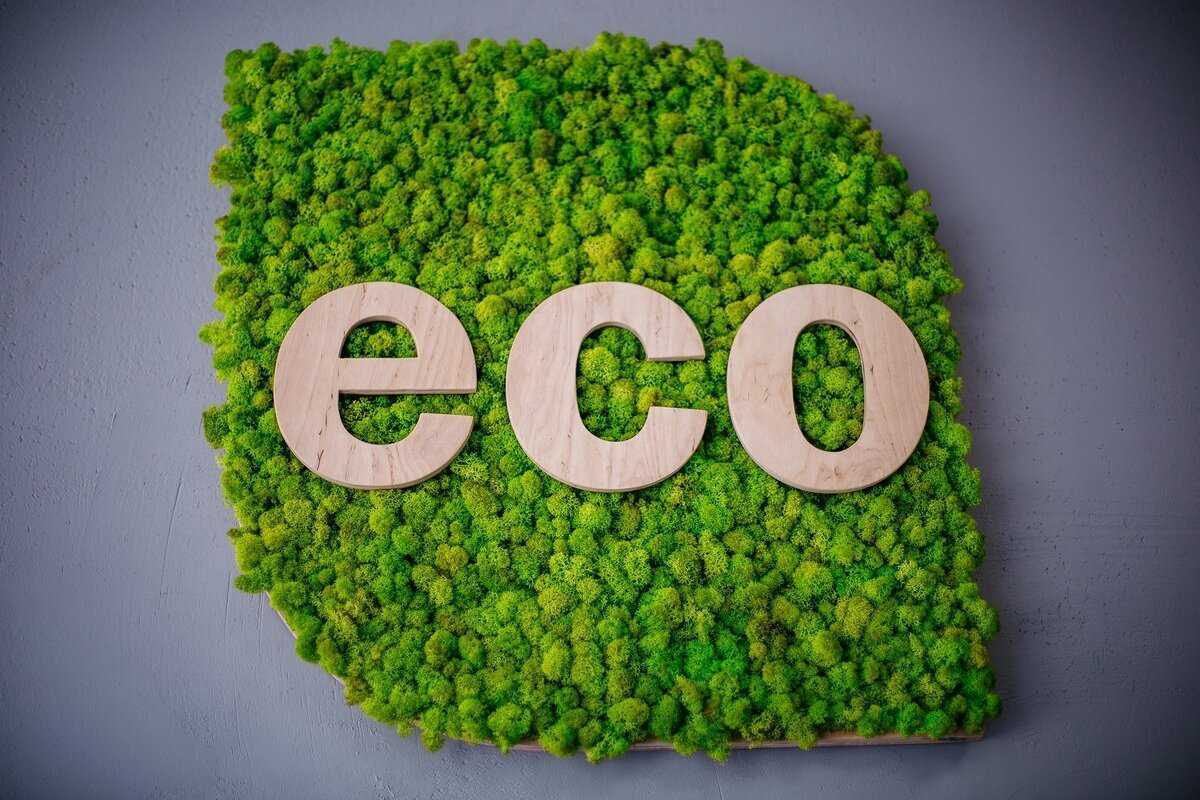 Решебник к учебному пособию: окружающий мир 3 класс плешаков - учебник