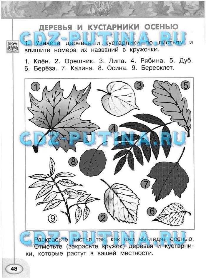 Гдз окружающий мир 2 класс плешаков, новицкая - рабочая тетрадь