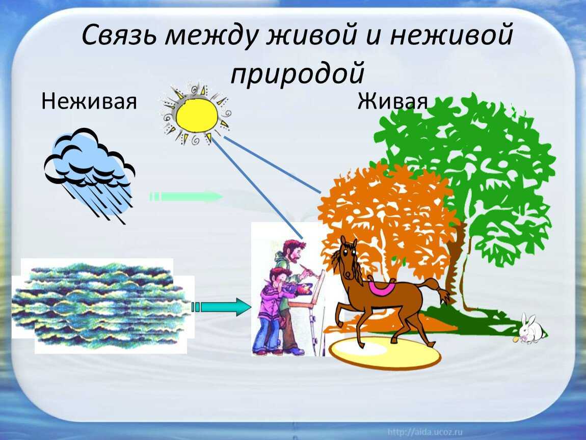 Гдз по окружающему миру — 2 класс — рабочая тетрадь — 1 часть — плешаков — 2020