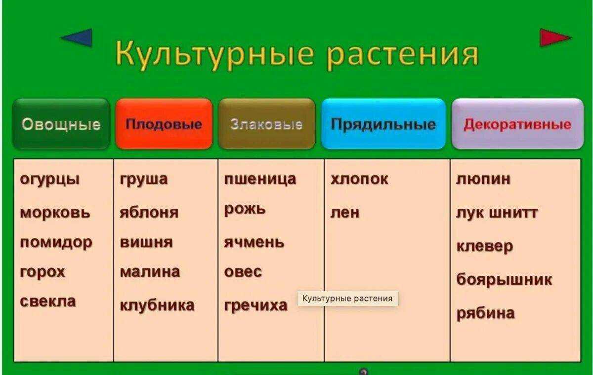 Окружающий мир. 2 класс. ответы |  развивайка