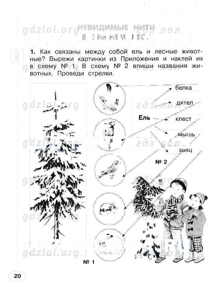 Гдз решебник по окружающему миру 2 класс  плешаков, новицкая рабочая тетрадь просвещение