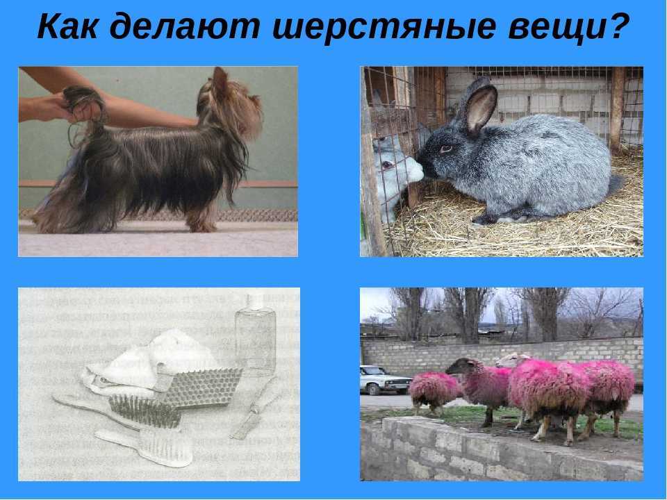 Гдз: окружающий мир 2 класс плешаков - учебник