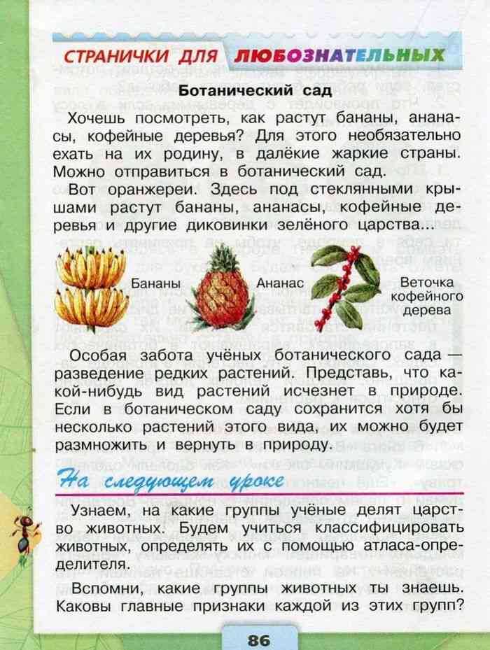 Окружающий мир 3 класс плешаков рабочая тетрадь 1 часть — страницы 10, 11
