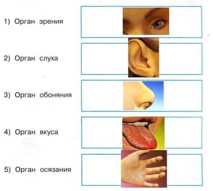 Переводчик с английского на русский